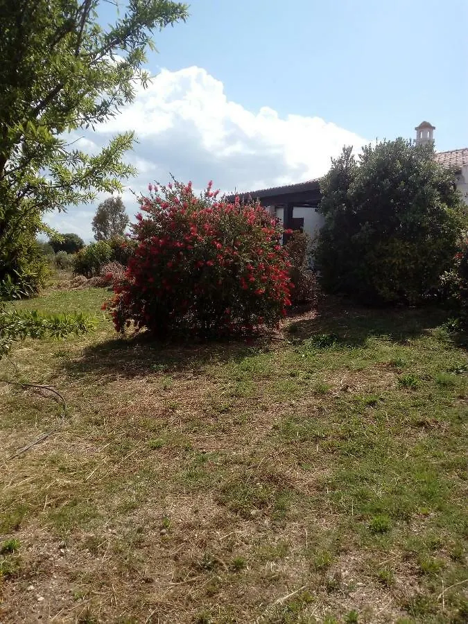 בית הארחה אורוסיי 	Casa Nerelie'S 0*,  איטליה