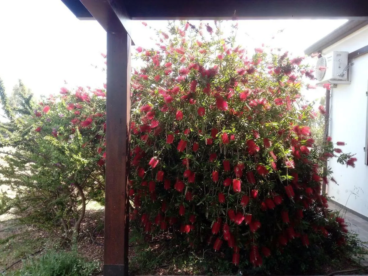 בית הארחה אורוסיי 	Casa Nerelie'S